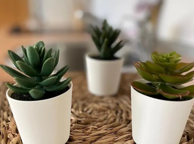 House Tuvesa Premium 1 Wifi Gratis